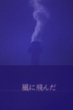 BLOW WIND (1990)