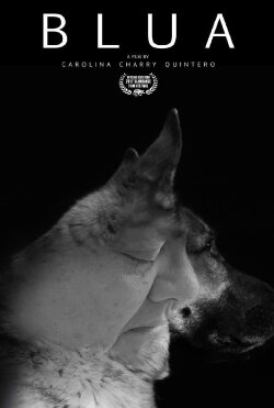 Blua (2017) Blua (2017)