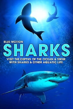 Blue Motion: Rulers of the Oceans (2004) Blue Motion: Rulers of the Oceans (2004)