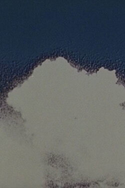 Blue Movie (1970) Blue Movie (1970)