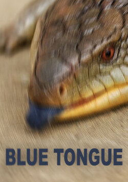 Blue Tongue (2005) Blue Tongue (2005)