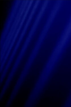 Bluebeam (2024) Bluebeam (2024)