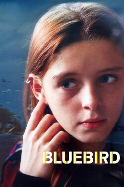Bluebird (2004)