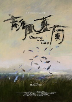 Bluebird in the Wind (2024) Bluebird in the Wind (2024)