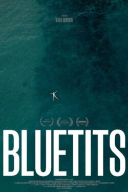Bluetits (2023)