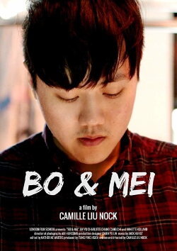 Bo & Mei (2018) Bo & Mei (2018)