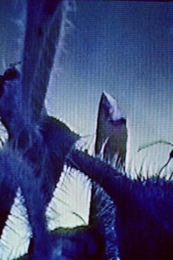 Body Burden (2000)