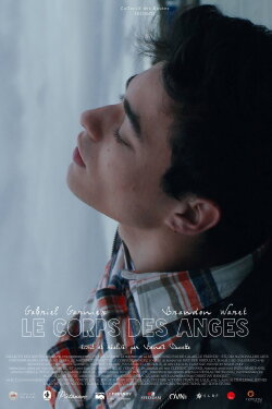 Body of Angels (2016) Body of Angels (2016)