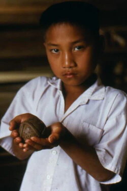 Bombies (2001) Bombies (2001)