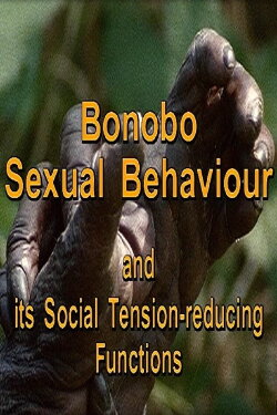 Bonobo Sexual Behaviour and its Social Tension-Reducing Functions (1997) Bonobo Sexual Behaviour and its Social Tension-Reducing Functions (1997)