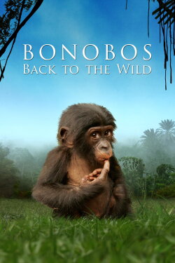 Bonobos: Back to the Wild (2011) Bonobos: Back to the Wild (2011)