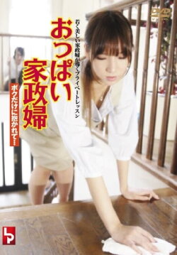 Boob housekeeper (2011)