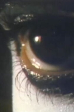 Boredom (1976)