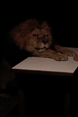 Boredom (2009)