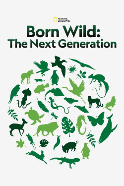 Born Wild: The Next Generation (2020) Born Wild: The Next Generation (2020)
