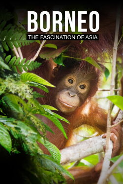 Borneo: The Fascination of Asia (2017) Borneo: The Fascination of Asia (2017)