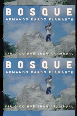 BOSQUE (2023)