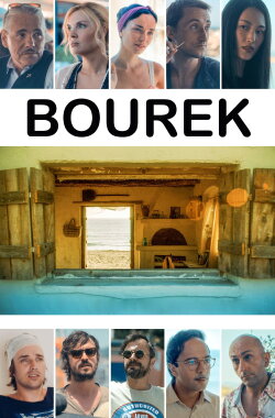 Bourek (2016) Bourek (2016)