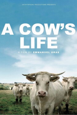 Bovines (2012)