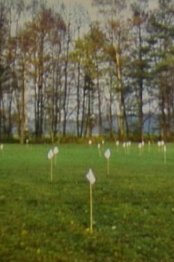 Box (1976) Box (1976)
