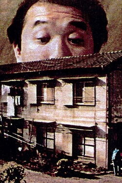 Box Age (1992) Box Age (1992)