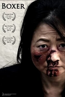 Boxer (2015) Boxer (2015)