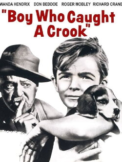 Boy Who Caught a Crook (1961) Boy Who Caught a Crook (1961)