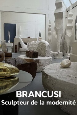Brancusi : les métamorphoses de la sculpture (2024) Brancusi : les métamorphoses de la sculpture (2024)