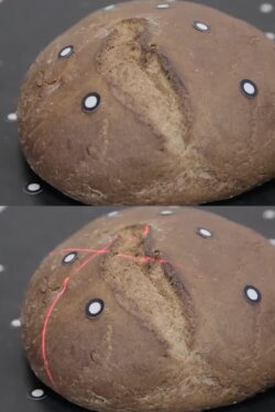Bread. Gene (2014)