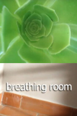 Breathing Room (2009)