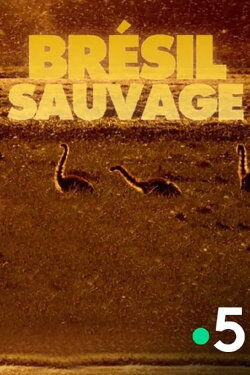 Brésil Sauvage - Avant le déluge (2014)