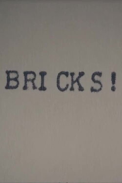Bricks! (2016)