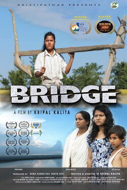 Bridge (2020) Bridge (2020)