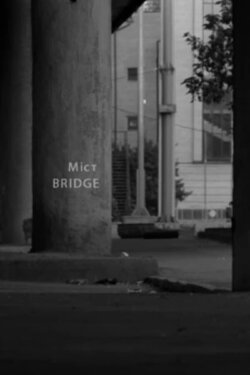 Bridge (2014) Bridge (2014)