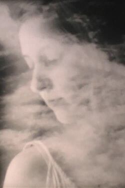 Bright Mirror (2013)