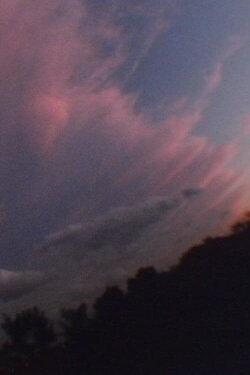 Brilliant Garden (1995)