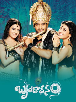 Brindavanam (2010)