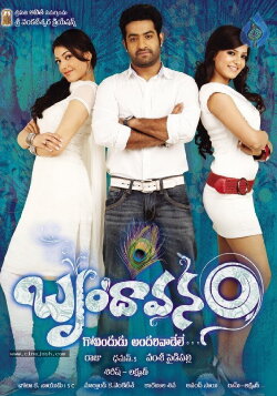 Brindavanam (2010) Brindavanam (2010)