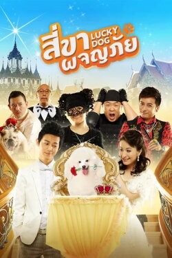 Bring Happiness Home (2013) Bring Happiness Home (2013)