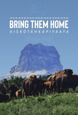 Bring Them Home (2024) Bring Them Home (2024)