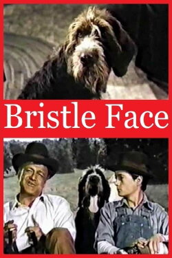 Bristle Face (1964) Bristle Face (1964)