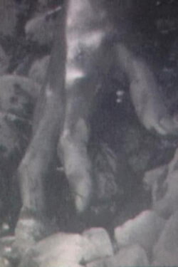 Broken Flesh Ecstasy (2005)
