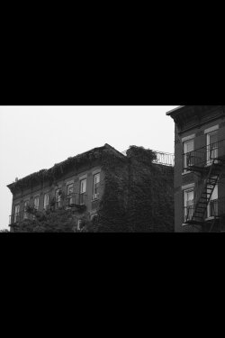 Brooklyn Interlude (2023) Brooklyn Interlude (2023)