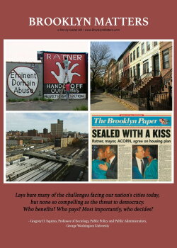 Brooklyn Matters (2007)