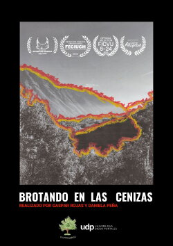 Brotando en las cenizas (2024) Brotando en las cenizas (2024)