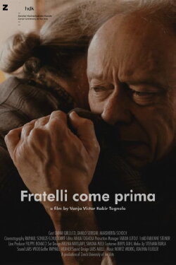 Brothers Again (2019) Brothers Again (2019)