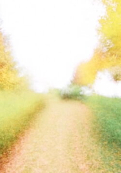 Brouillard #15 (2014)