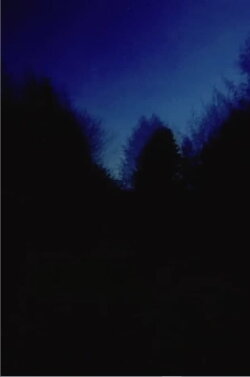 Brouillard #2-12-6 (2011)