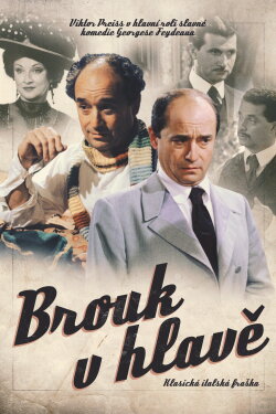 Brouk v hlavě (2003)