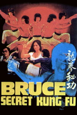 Bruce's Secret Kung Fu (1988) Bruce's Secret Kung Fu (1988)
